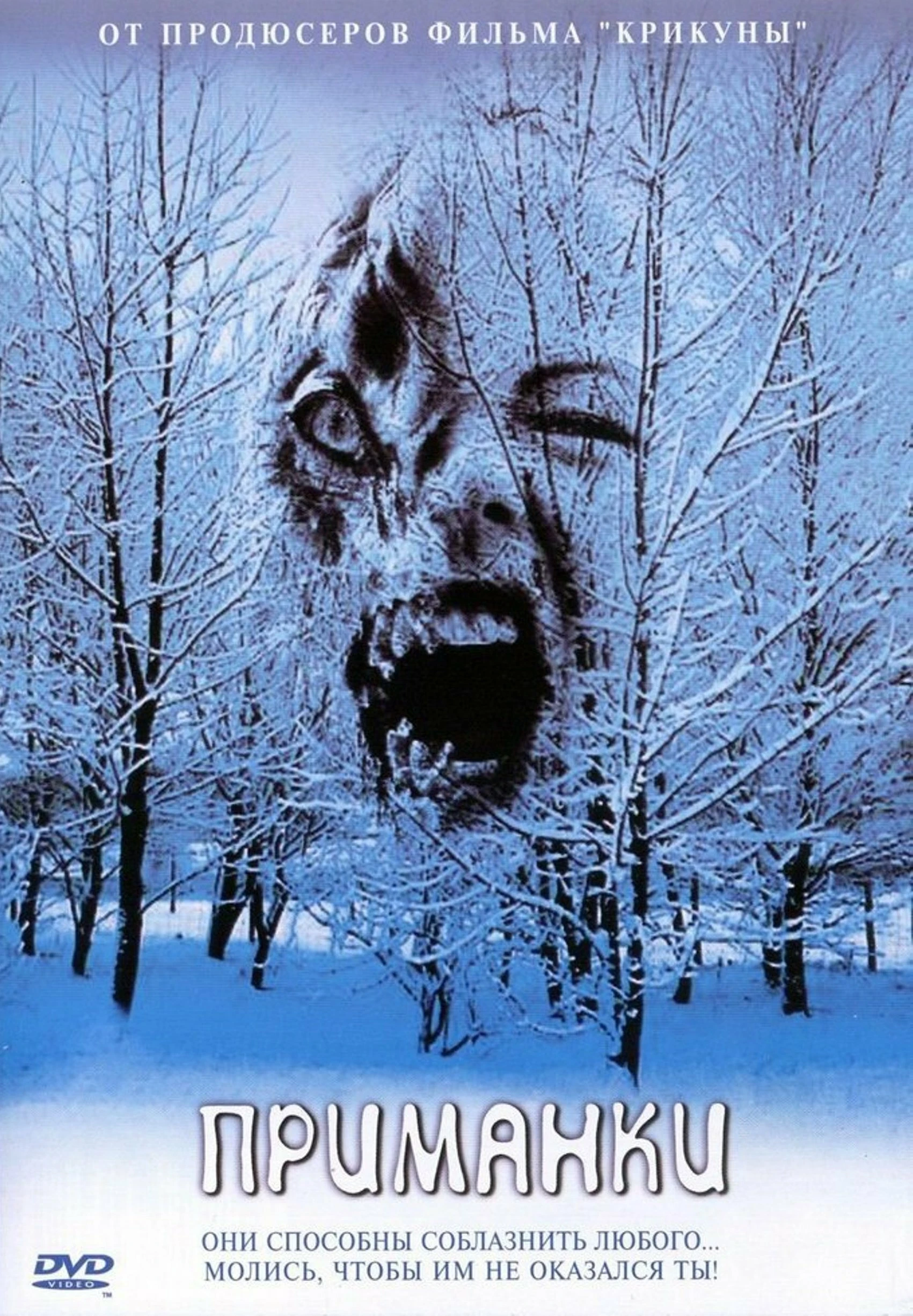 Приманки 2004 постер