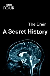 Постер The Brain: A Secret History