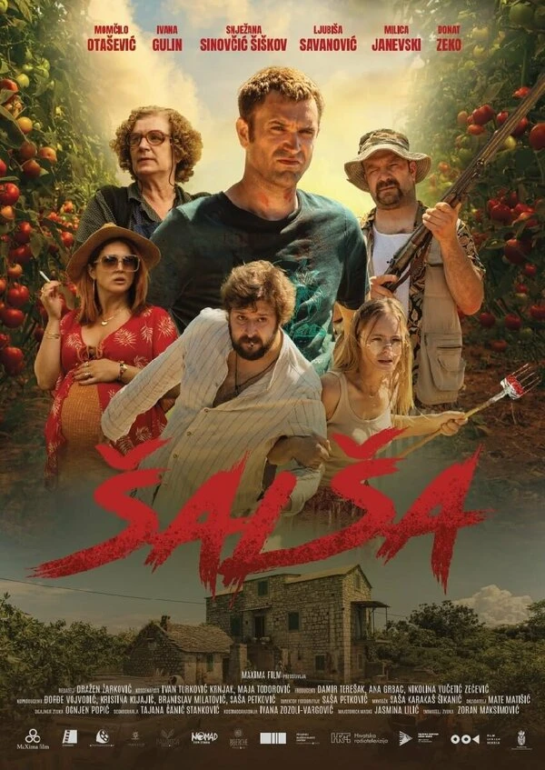 Salsa постер