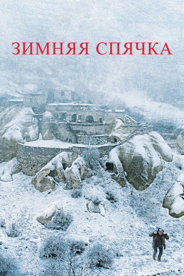 Зимняя спячка 2014 постер