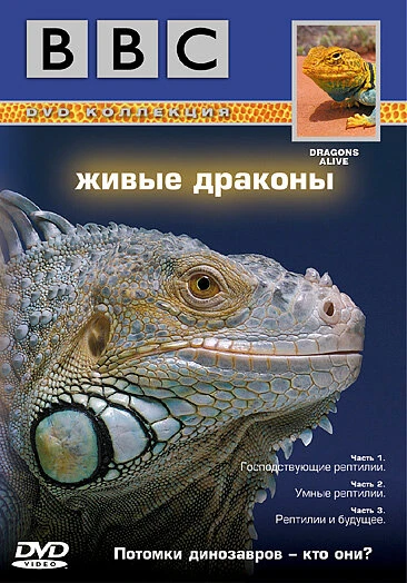 BBC: Живые драконы 2004 постер