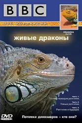 Постер BBC: Живые драконы 2004