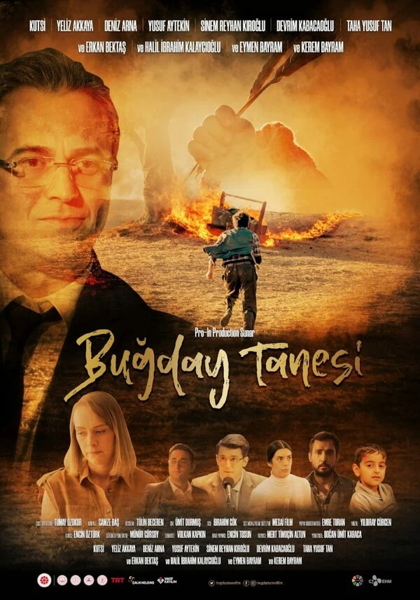 Bugday Tanesi постер