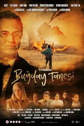 Постер Bugday Tanesi