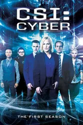 Постер CSI: Киберпространство 2015