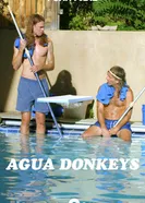 Постер Agua Donkeys
