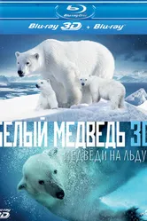 Постер Полярные медведи 2012