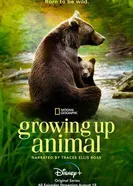 Постер Growing Up Animal