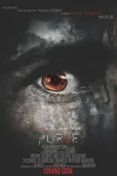 Постер Purse