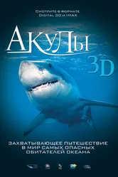 Постер Акулы 3D 2004