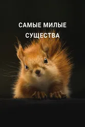 Постер Самые милые существа 2021
