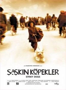 Бродячие собаки 2004 постер