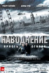 Постер Наводнение 2007
