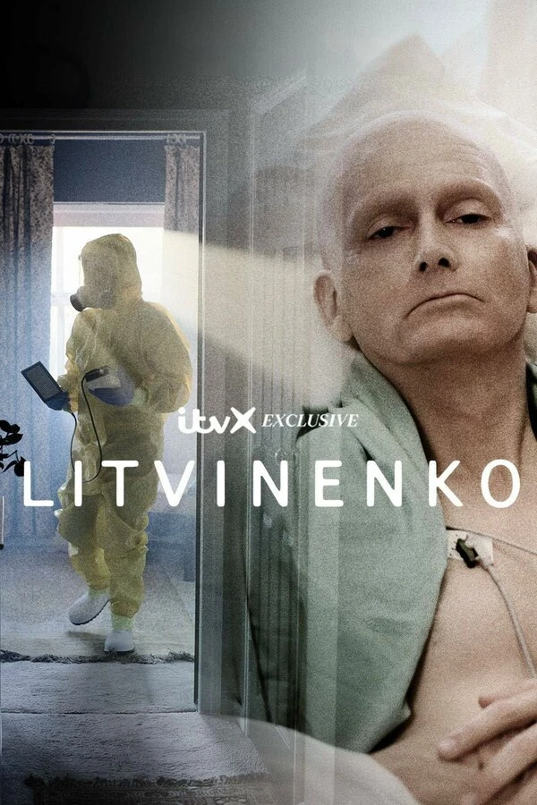 Литвиненко 2022 постер