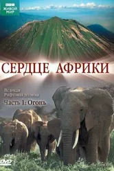 Постер BBC: Сердце Африки 2010