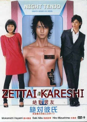 Идеальный парень 2008 постер