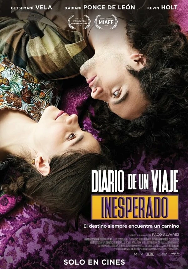 Diario de un viaje inesperado постер