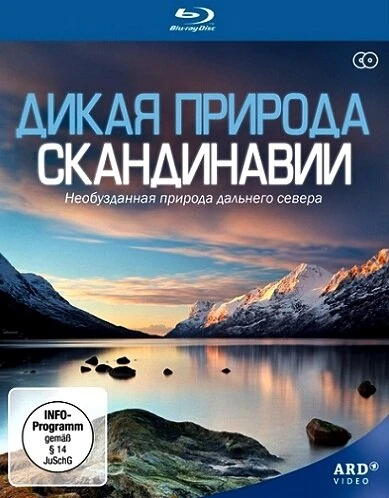 Дикая природа Скандинавии 2011 постер