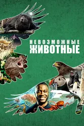 Постер Невозможные животные 2021